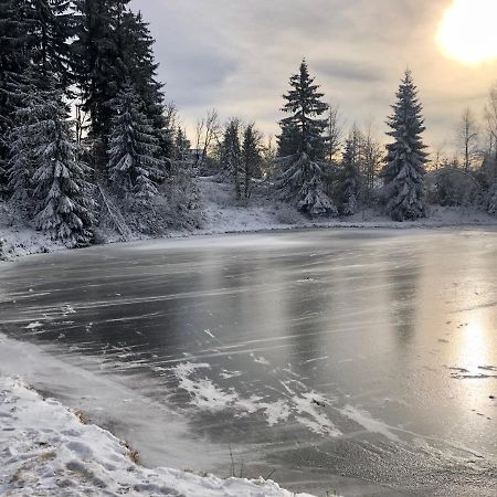 Apartmán Hugo Blatná Horní Blatná Esterno foto