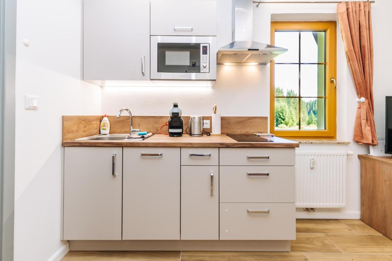 Apartmán Hugo Blatná Horní Blatná Esterno foto