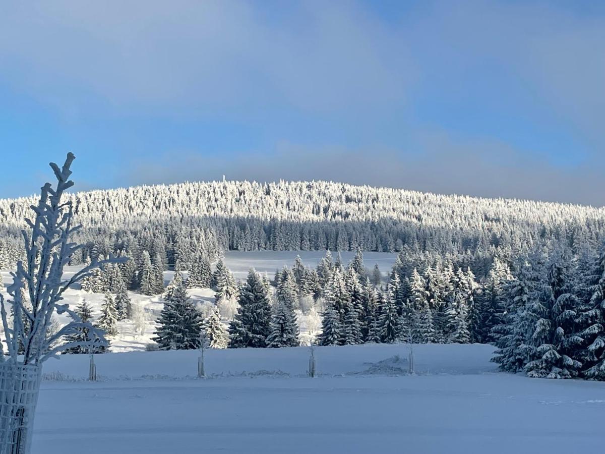 Apartmán Hugo Blatná Horní Blatná Esterno foto